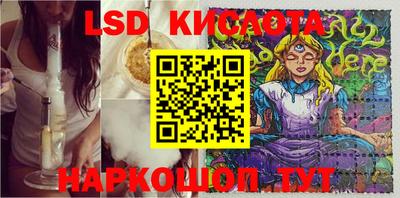 кокс Донской