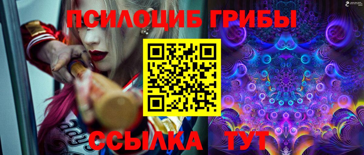 Псилоцибиновые грибы ЛСД Новоуральск